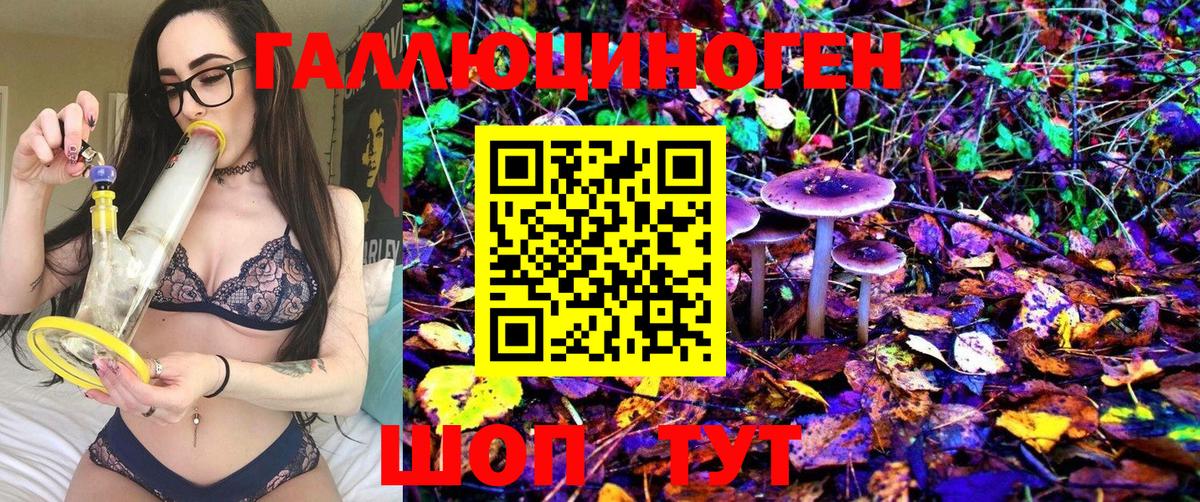 Псилоцибиновые грибы Magic Shrooms Мончегорск